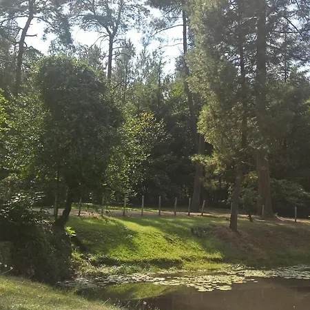 Gite Meuble Avec Etang En Lisiere De Foret. Saint-Mars-d'Outille Exterior photo