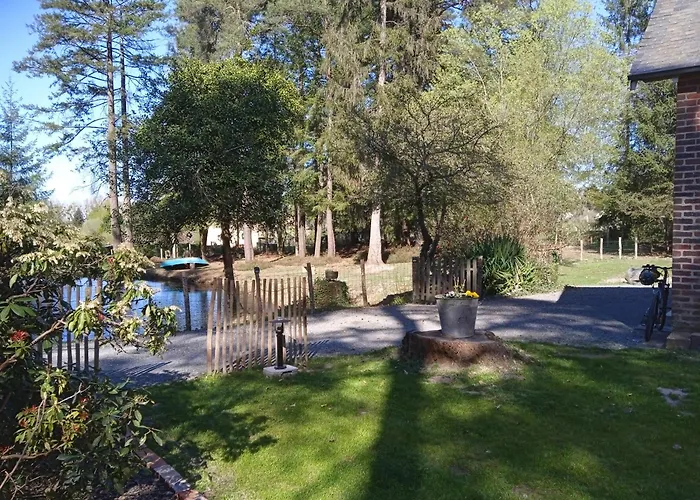 Gite Meuble Avec Etang En Lisiere De Foret.
