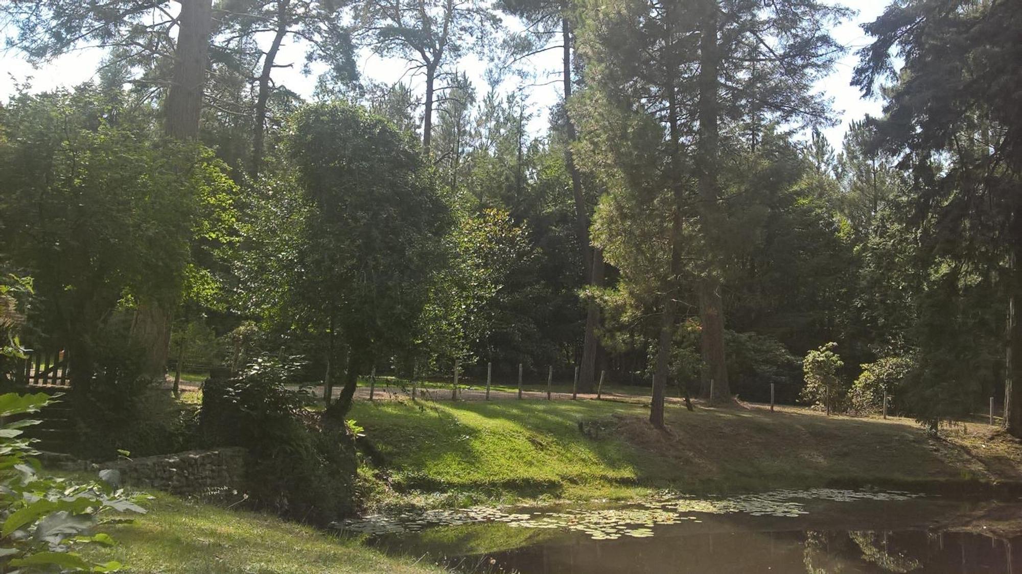 Meuble Avec Etang En Lisiere De Foret. *