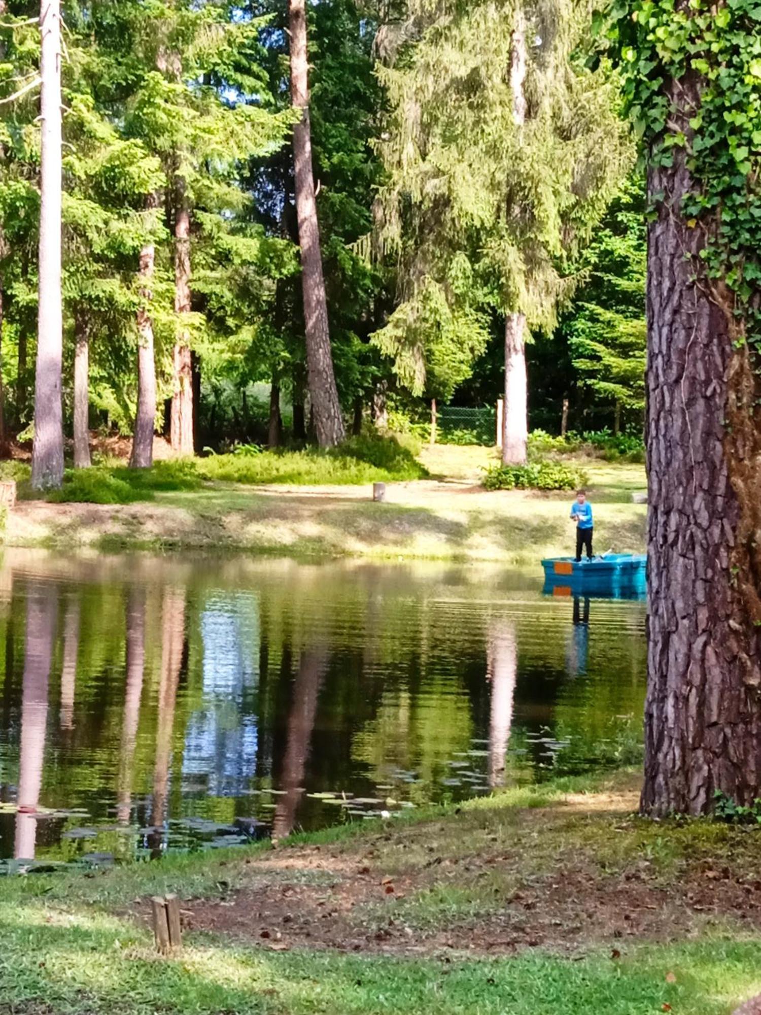 Meuble Avec Etang En Lisiere De Foret. *