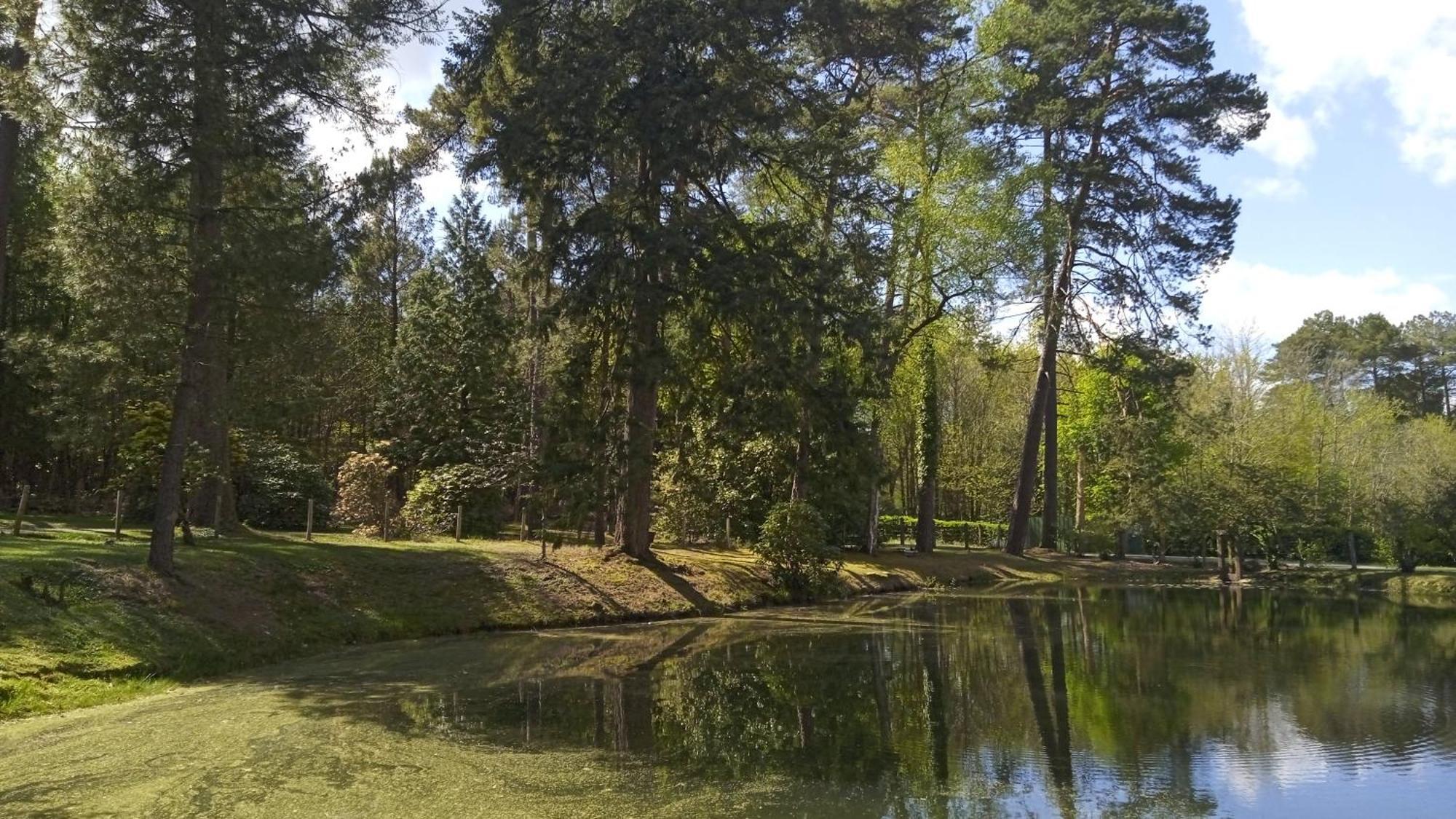 Meuble Avec Etang En Lisiere De Foret. Ferienhaus