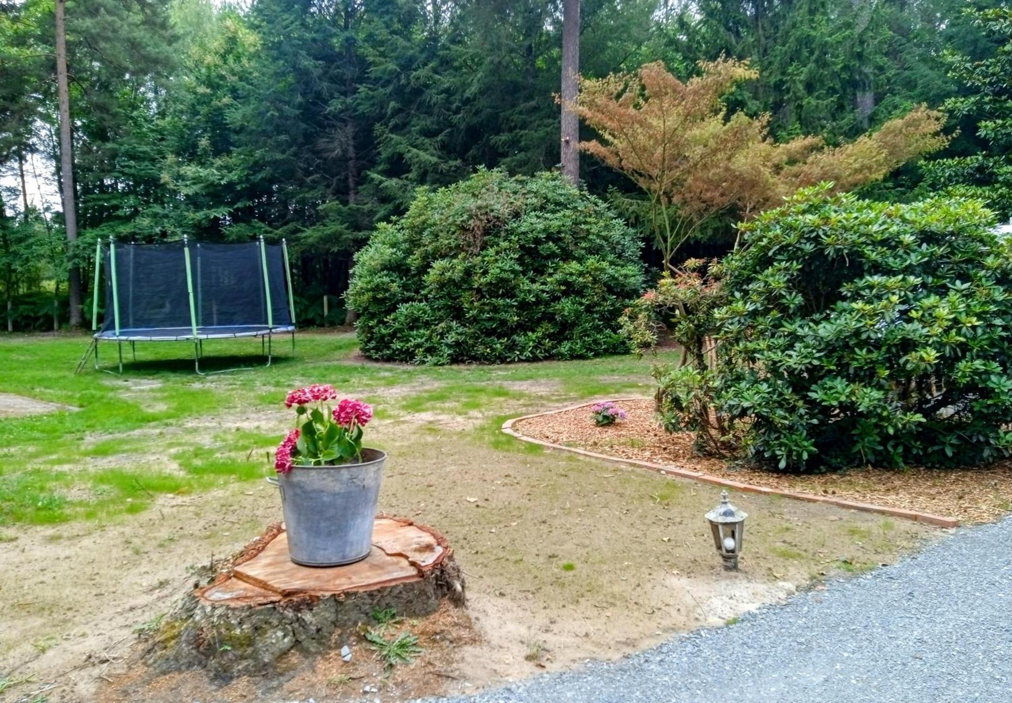 Meuble Avec Etang En Lisiere De Foret. Holiday home *